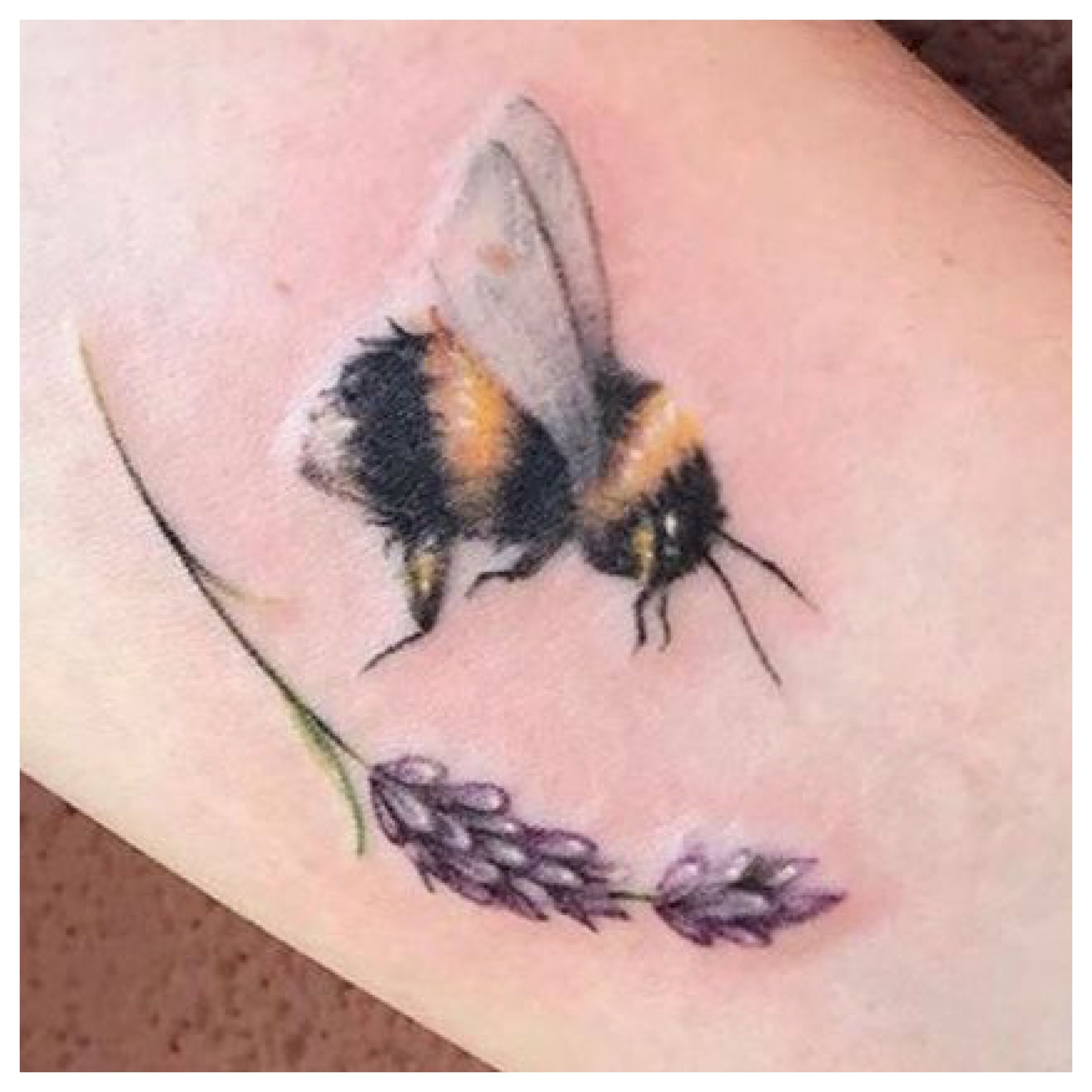 13 Best Images About Bumble Bee Tattoo On Pinterest Bumble Bees The 13 Best Images About Bumble Bee Tattoo On Pinterest Bumble Bees The
