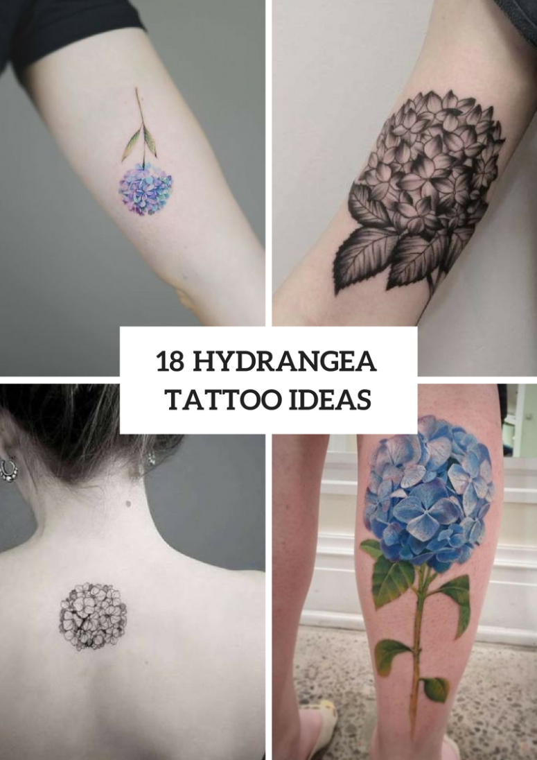 18 Hydrangea Tattoo Ideas For Romantic Ladies Styleoholic 18 Hydrangea Tattoo Ideas For Romantic Ladies Styleoholic