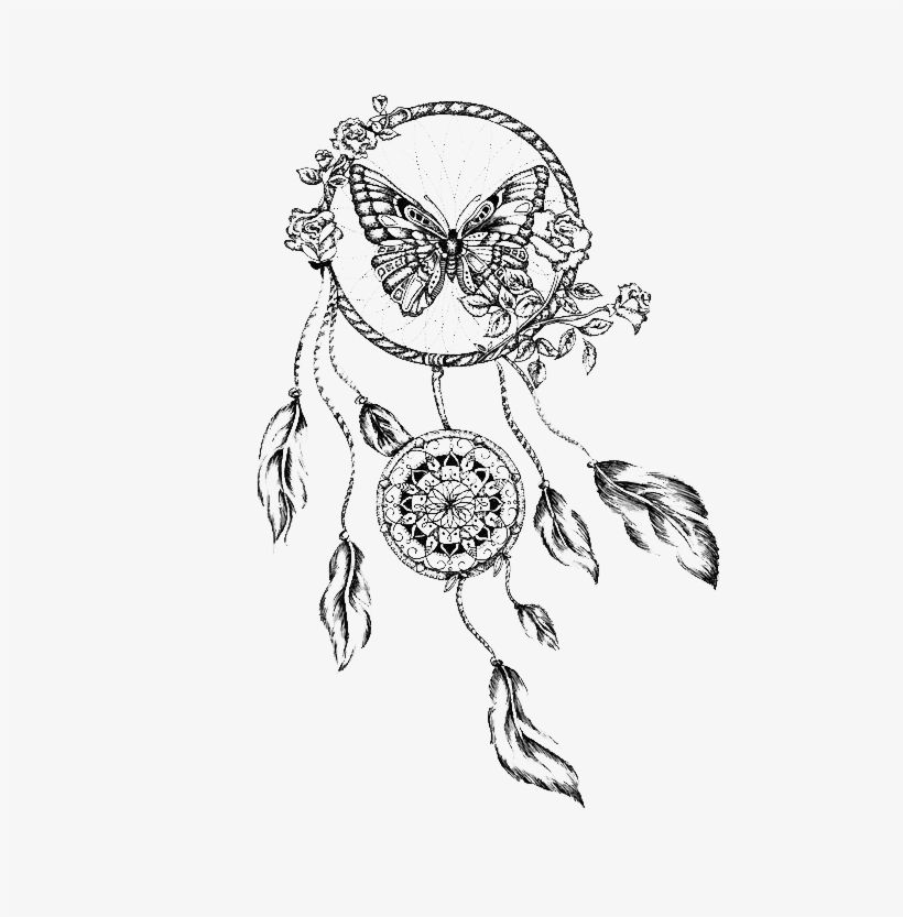 A Blue Butterfly Sitting On Top Of A Dream Catcher A Blue Butterfly Sitting On Top Of A Dream Catcher