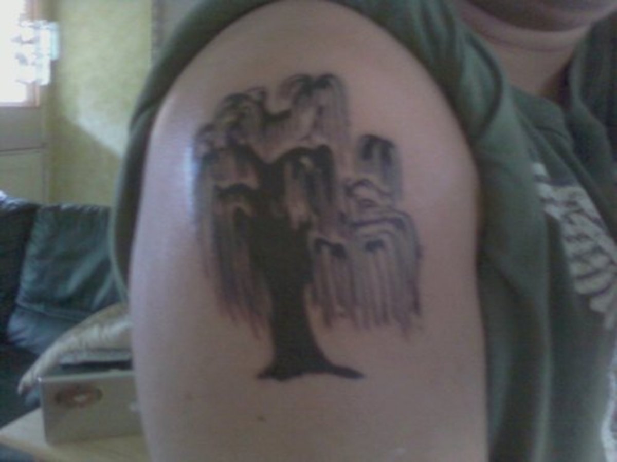 Amazing Weeping Willow Tattoo Designs Meanings To Inspire In 2024 Amazing Weeping Willow Tattoo Designs Meanings To Inspire In 2024