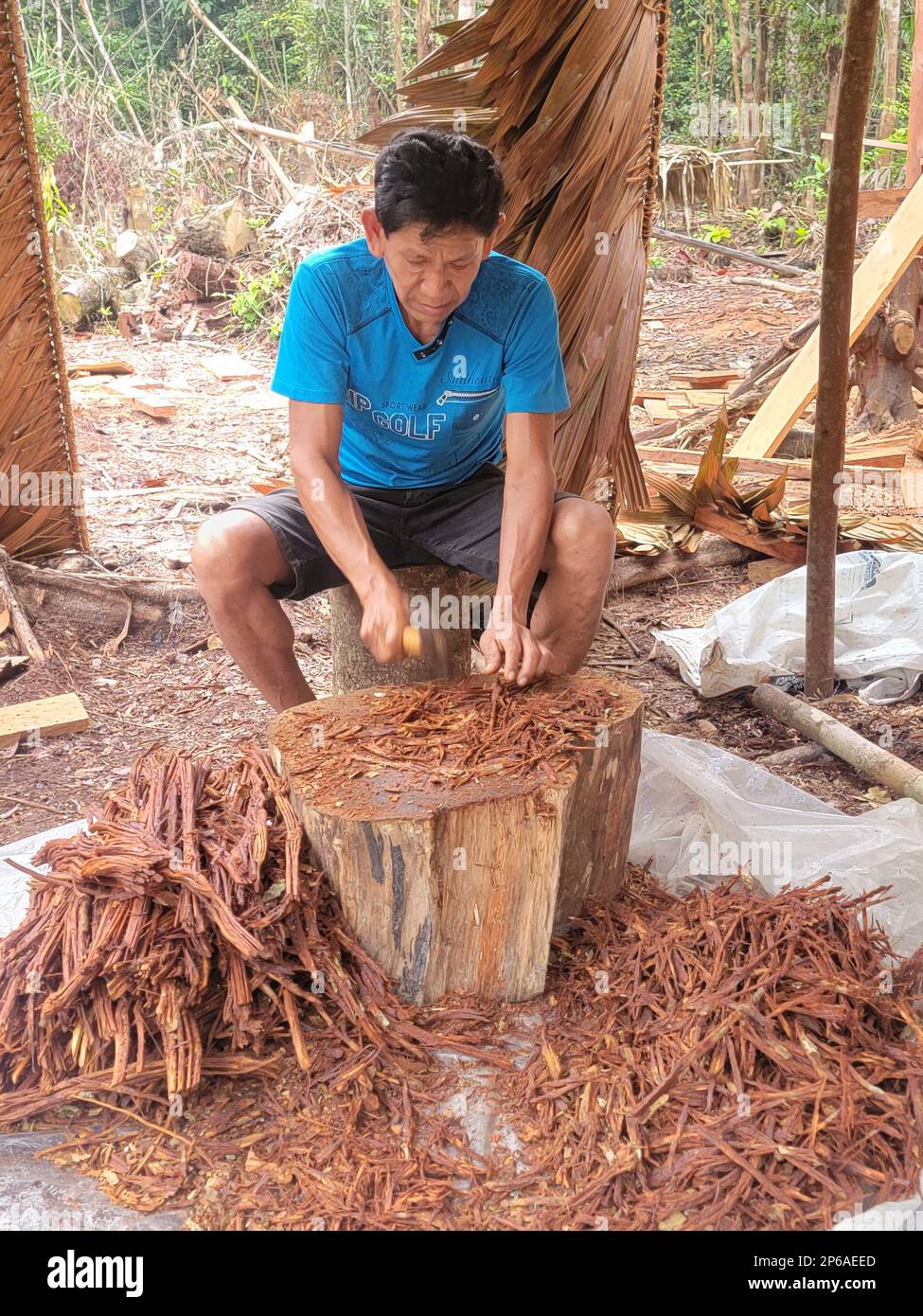 Amazonian Shaman’s Ayahuasca Preparation Guide