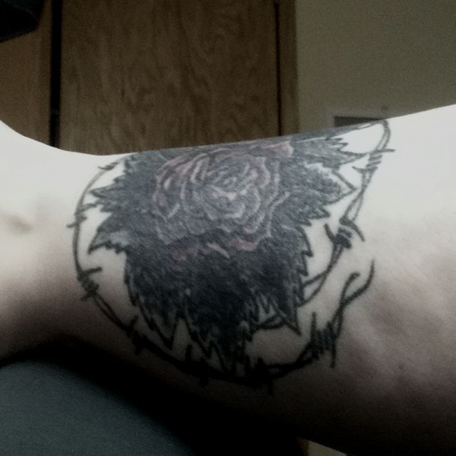 Barbed Wire Rose Tattoo: Bold Design Ideas & Meanings Barbed Wire Rose Tattoo: Bold Design Ideas & Meanings