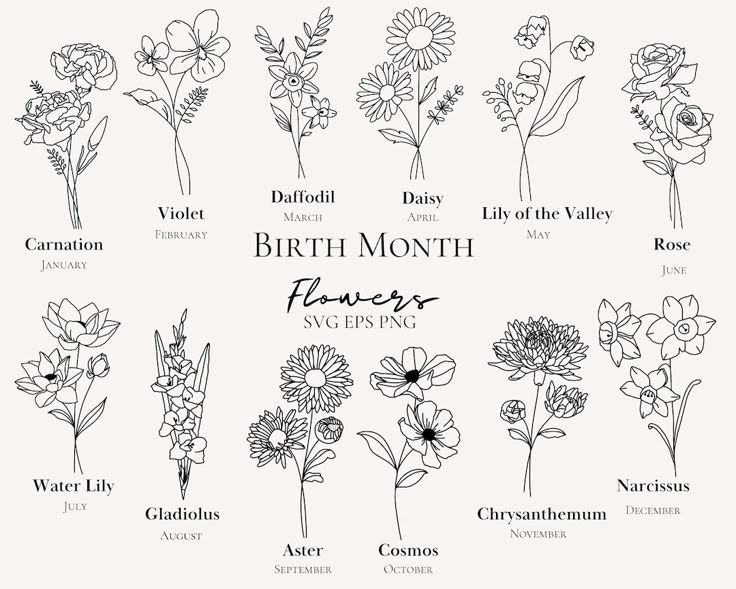 Free Birth Flower Bouquet Generator: Create Yours Now!