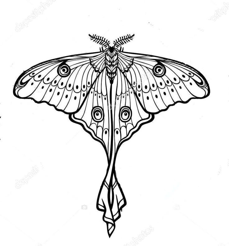 Black Luna Moth Tattoo: Meaning & Design Ideas