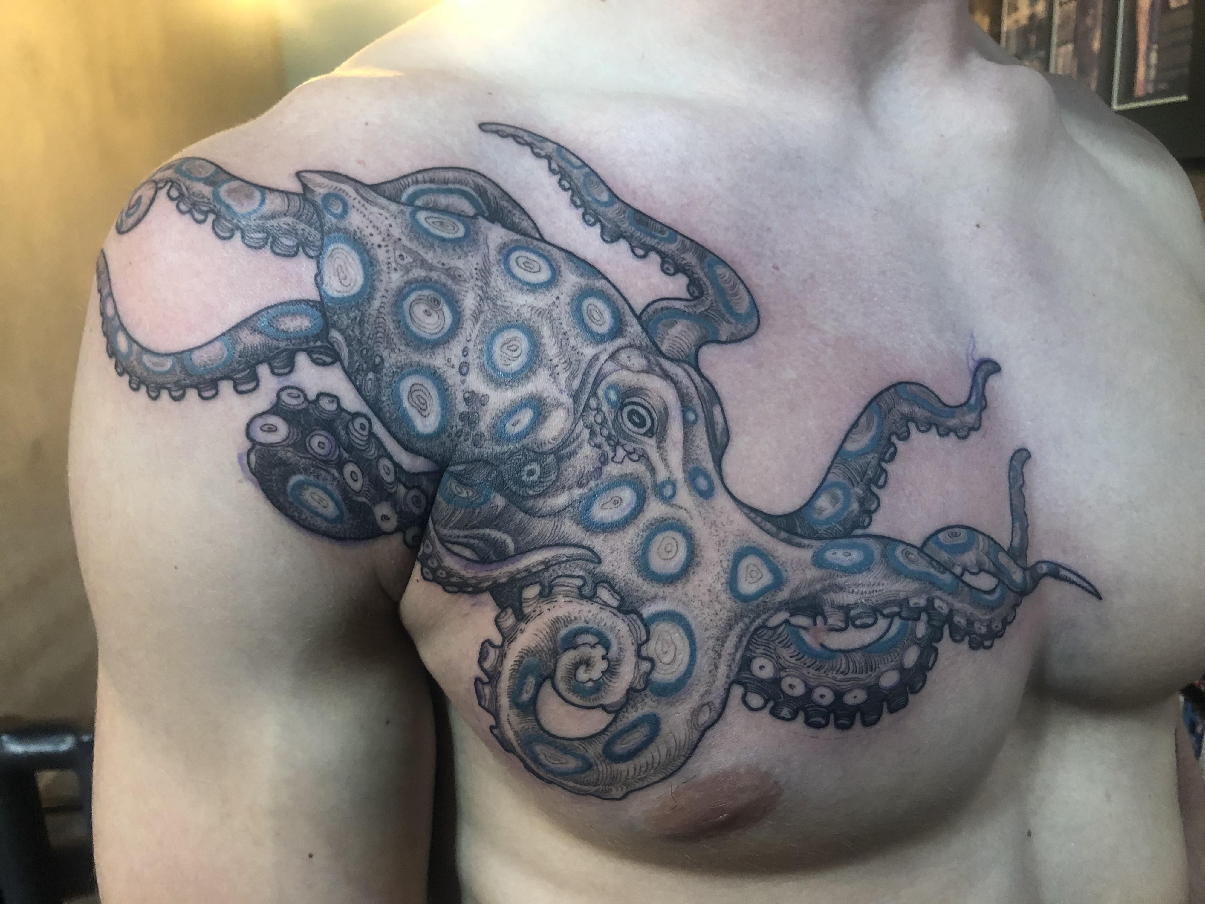 Blue Ringed Octopus By Aaron Riddle At 27 Tattoo Studio Octopus Blue Ringed Octopus By Aaron Riddle At 27 Tattoo Studio Octopus