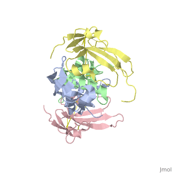 BMP7 in Zebrafish: Unlocking Bone Development Secrets
