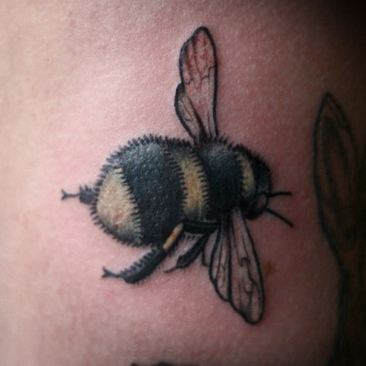 Brilliant Bumblebee Tattoo Tattoos Book 65 000 Tattoos Designs Brilliant Bumblebee Tattoo Tattoos Book 65 000 Tattoos Designs