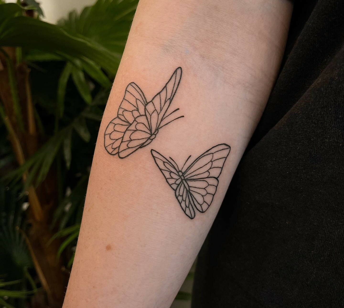 Butterfly Tattoo On Arm: Top Designs & Ideas Butterfly Tattoo On Arm: Top Designs & Ideas