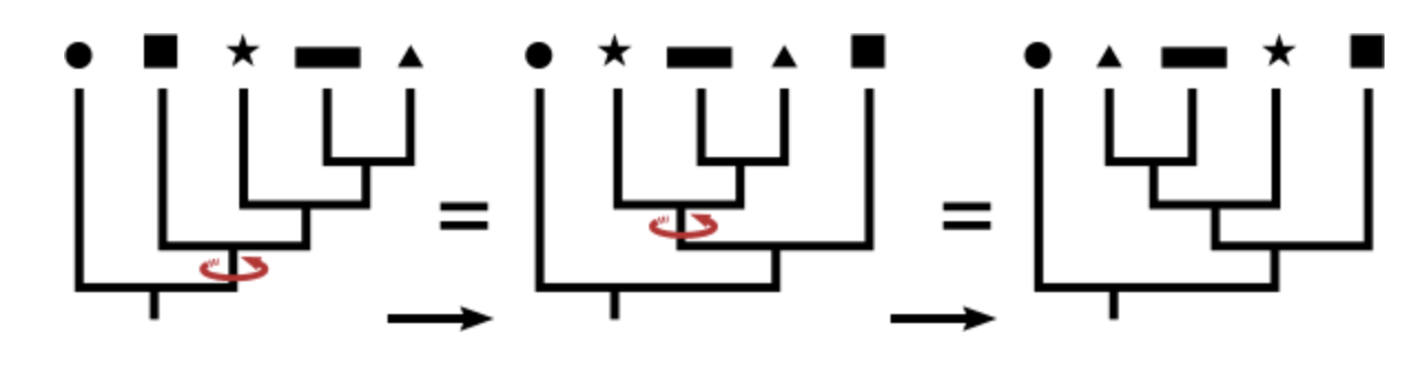 Chapter 8 Phylogenetic Trees Introductory Biology 2 Chapter 8 Phylogenetic Trees Introductory Biology 2