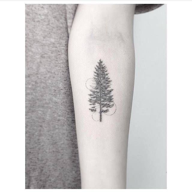 Continuous Line Pine Tree Tattoo On The Left Inner Continuous Line Pine Tree Tattoo On The Left Inner