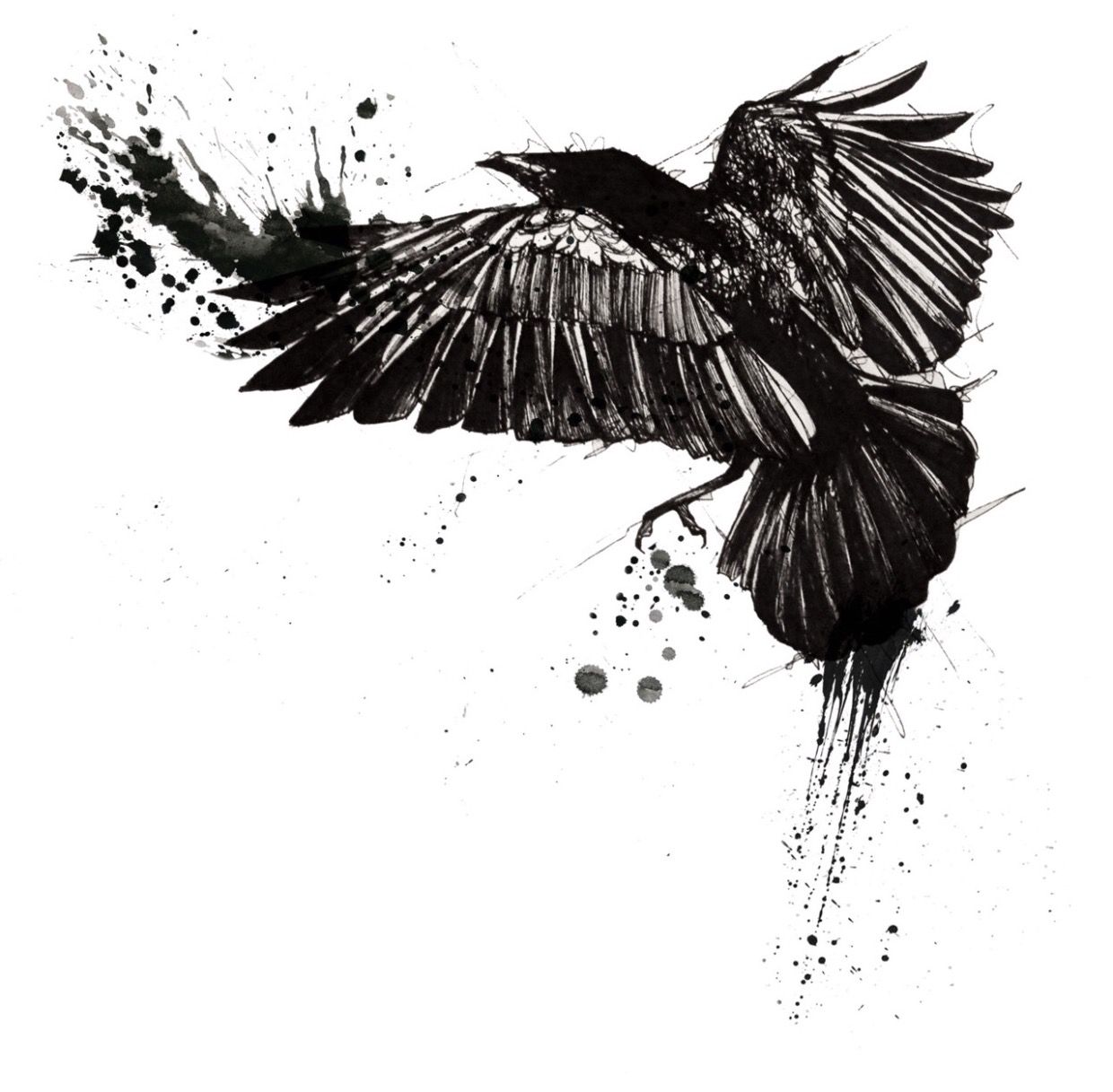 Crow Flying Ink Avatar: Stunning Art Explained