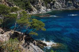 Describe The Five Types Of Middle Latitude Climates Describe The Five Types Of Middle Latitude Climates
