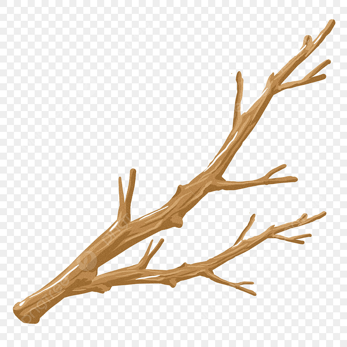 Dissintegrated Wooden Branch: Causes and Solutions Explained