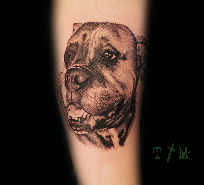 Dog Portrait Tattoos Blackwork Tattooing Midnight Moon Dog Portrait Tattoos Blackwork Tattooing Midnight Moon