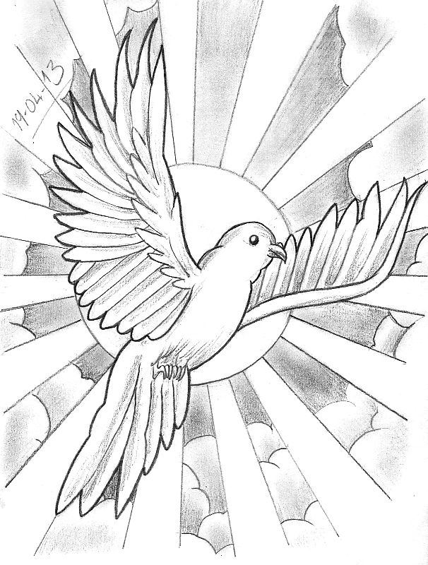 Dove From Heaven Sketches Tattoo Sketches Tattoo Design Drawings Dove From Heaven Sketches Tattoo Sketches Tattoo Design Drawings