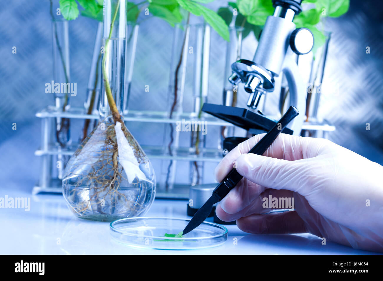Ecology Laboratory Chemistry Recycling Biotechnology Botanical Ecology Laboratory Chemistry Recycling Biotechnology Botanical
