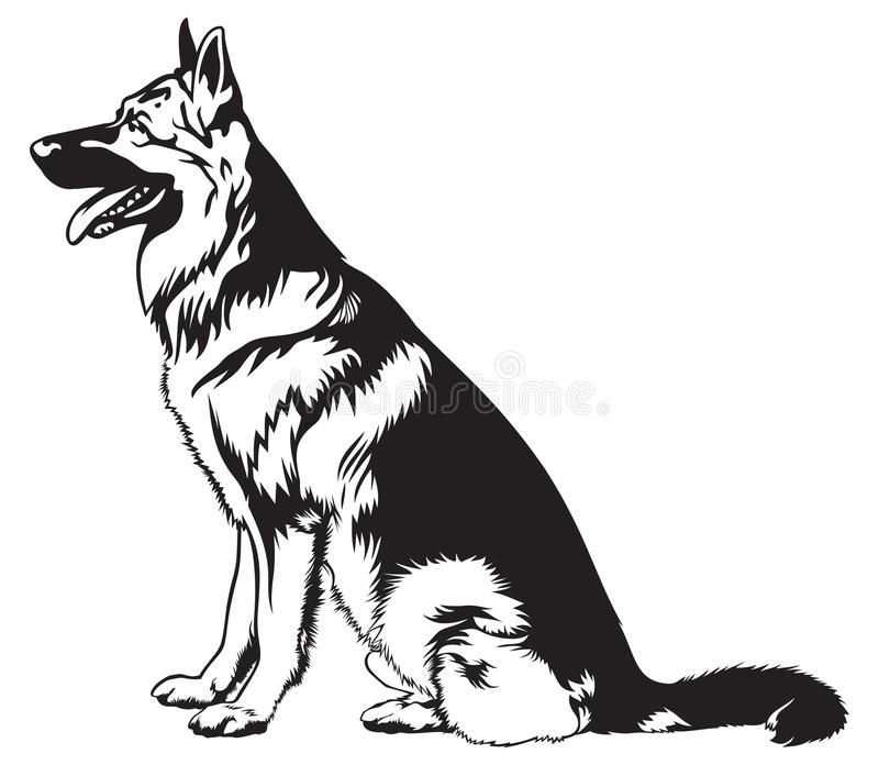 German Shepherd Side Profile: Striking Features Explained German Shepherd Side Profile: Striking Features Explained