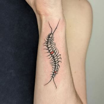Human Centipede Tattoo: A Girl's Unique Body Art Choice
