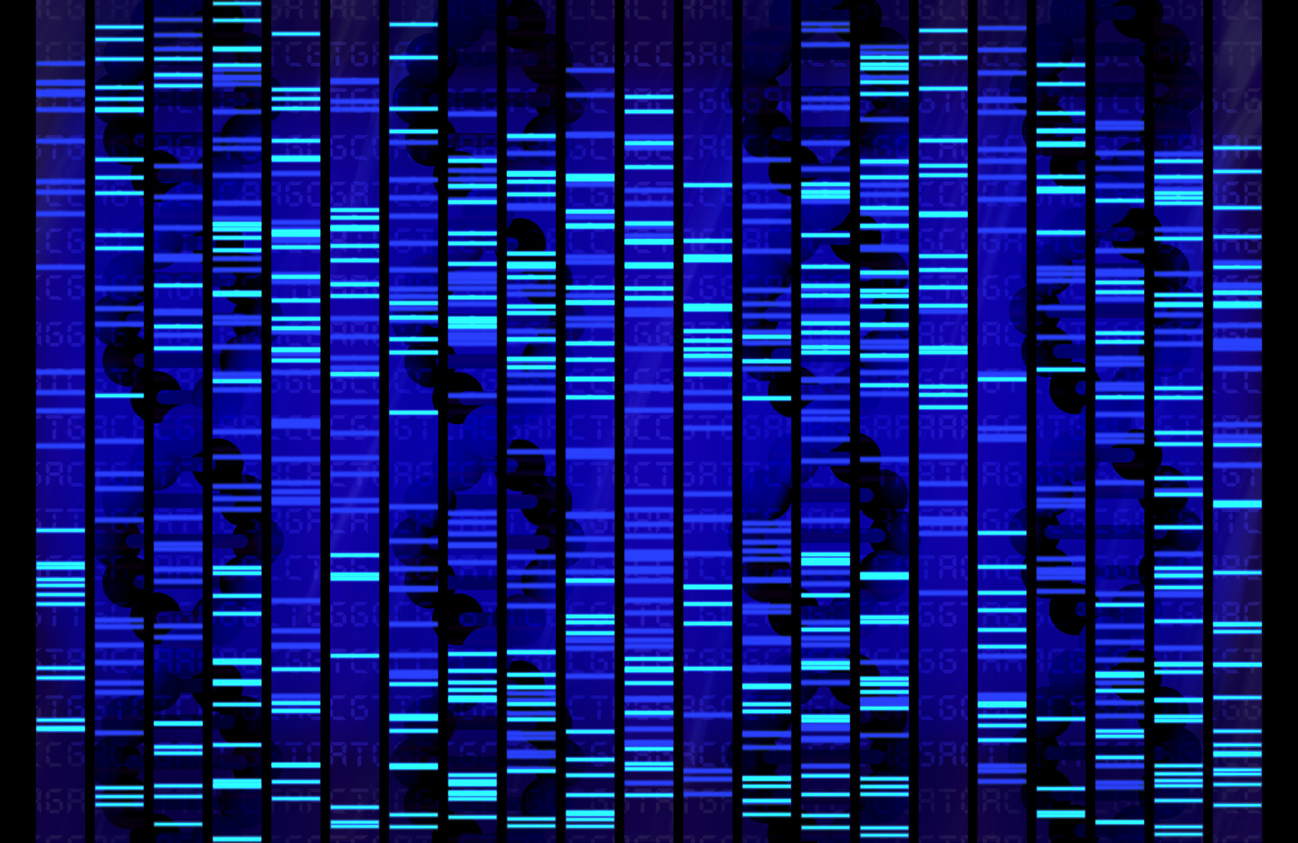 Human Dna Sequence Example Human Dna Sequence Example