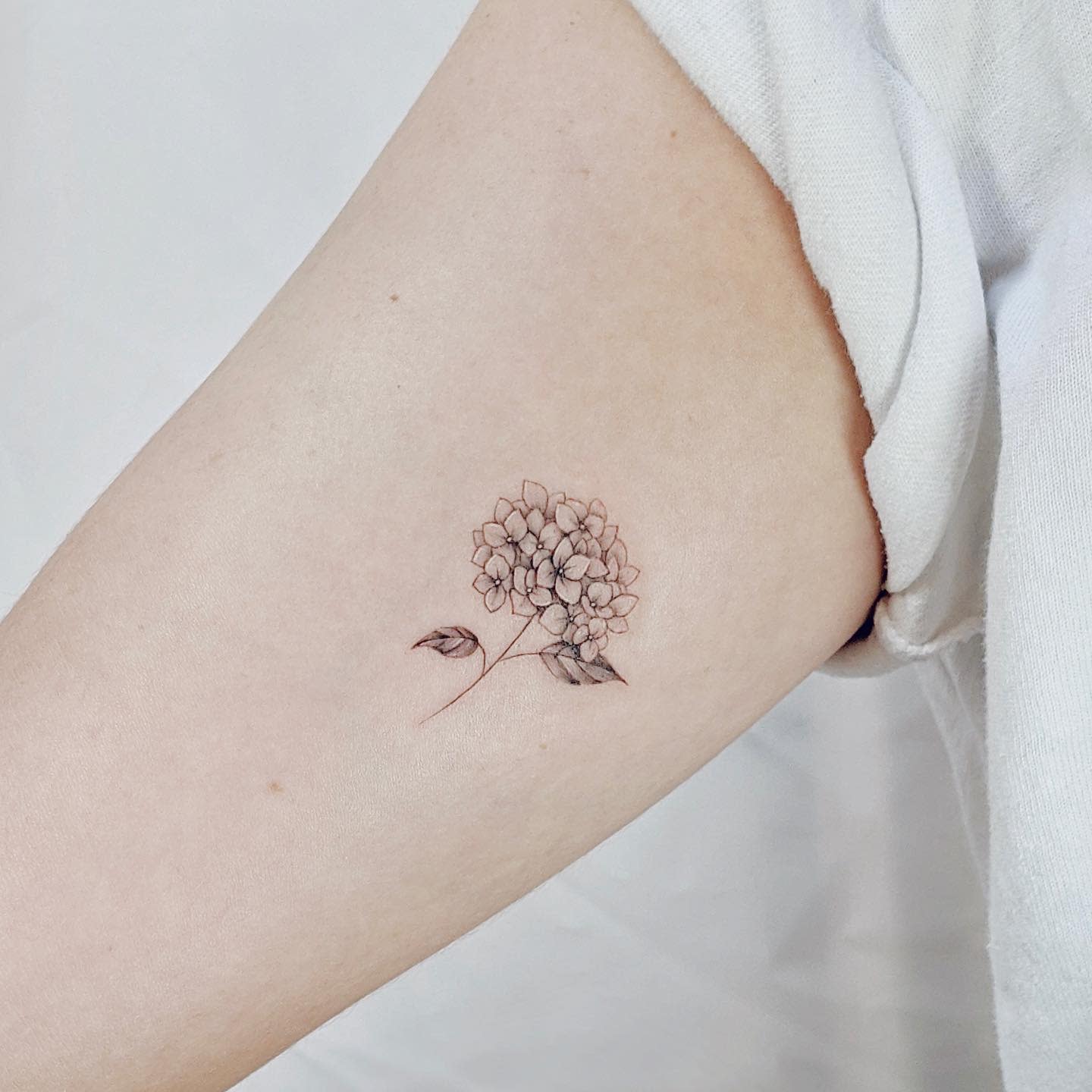 Hydrangea Tattoo 60 Beautiful Ideas And Their Meanings Hydrangea Tattoo 60 Beautiful Ideas And Their Meanings