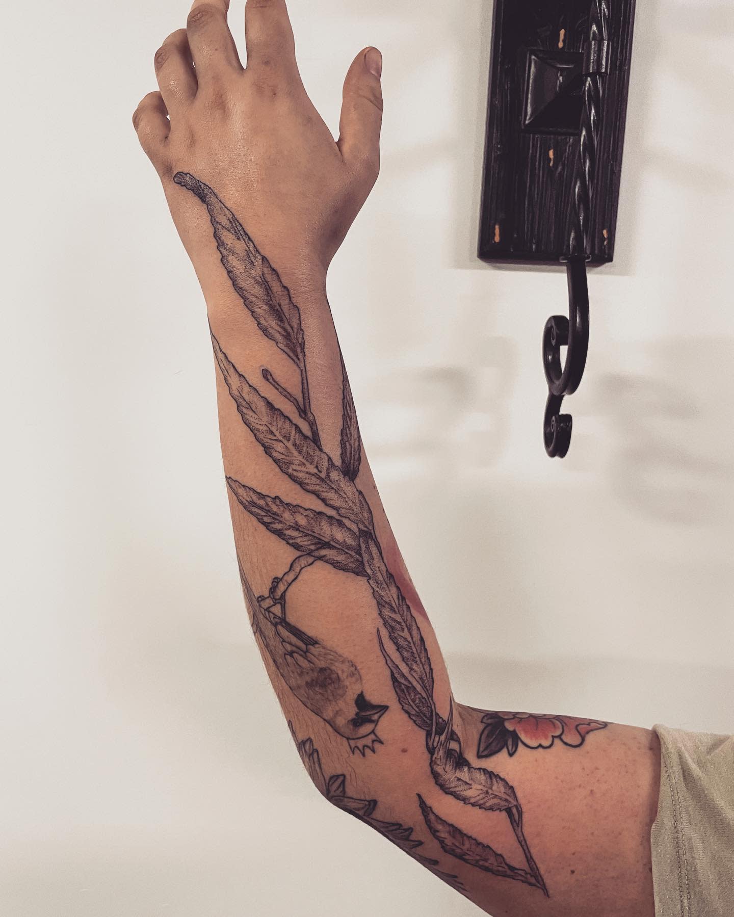 Image Result For Willow Branch Tattoo Tattoos Nature Tattoos Image Result For Willow Branch Tattoo Tattoos Nature Tattoos