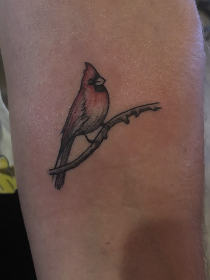 Mini Small Cardinal Tattoo Ideas & Inspiration
