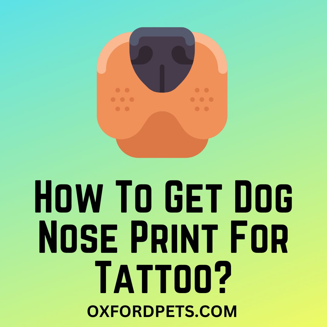 Nose Print Tattoos Nose Print Tattoos