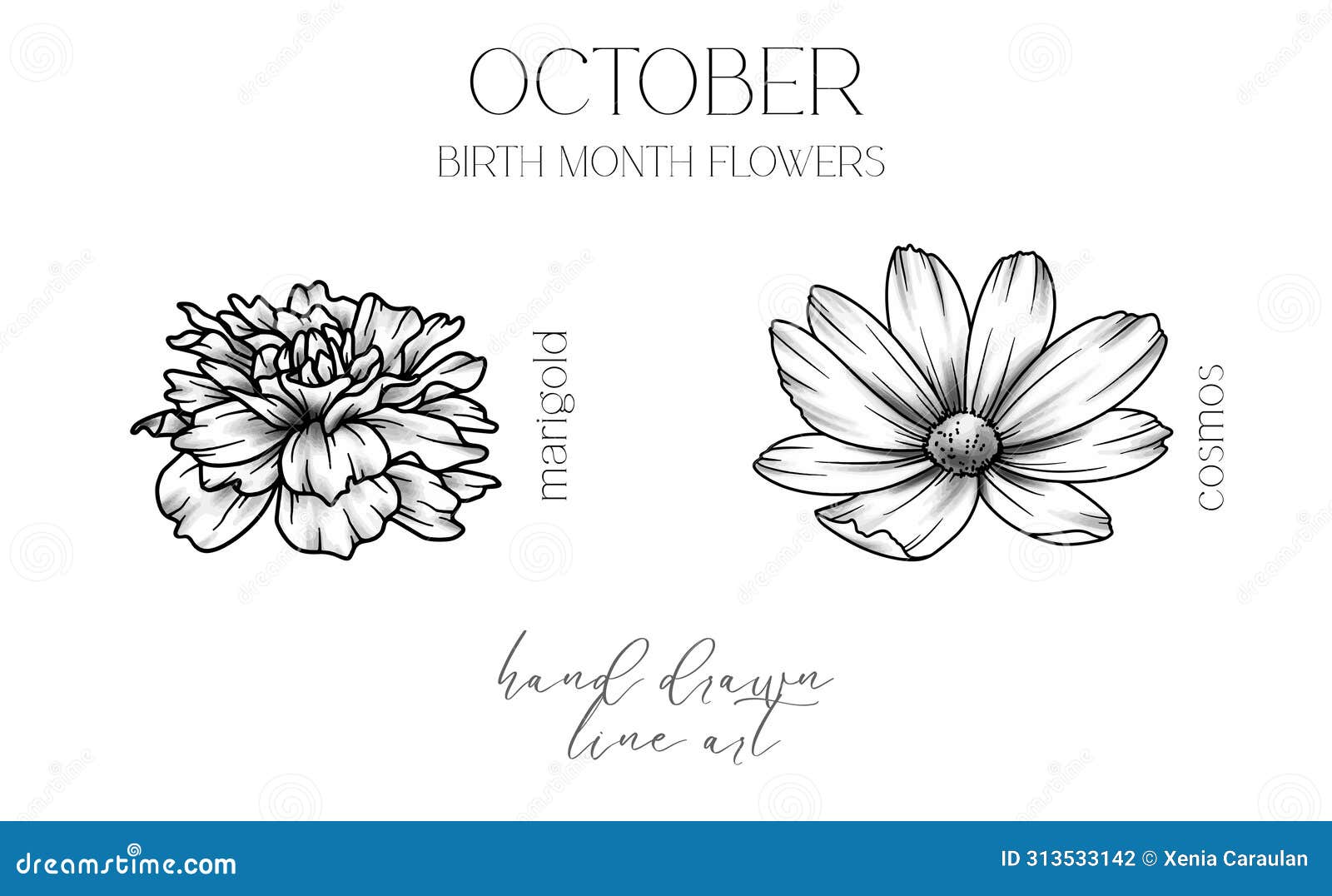 October Birth Flower Tattoo Ideas: Cosmos & Marigold Designs