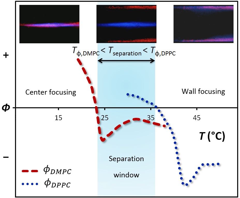 Paper-Based Acoustofluidics: Efficient Separation Techniques Explained