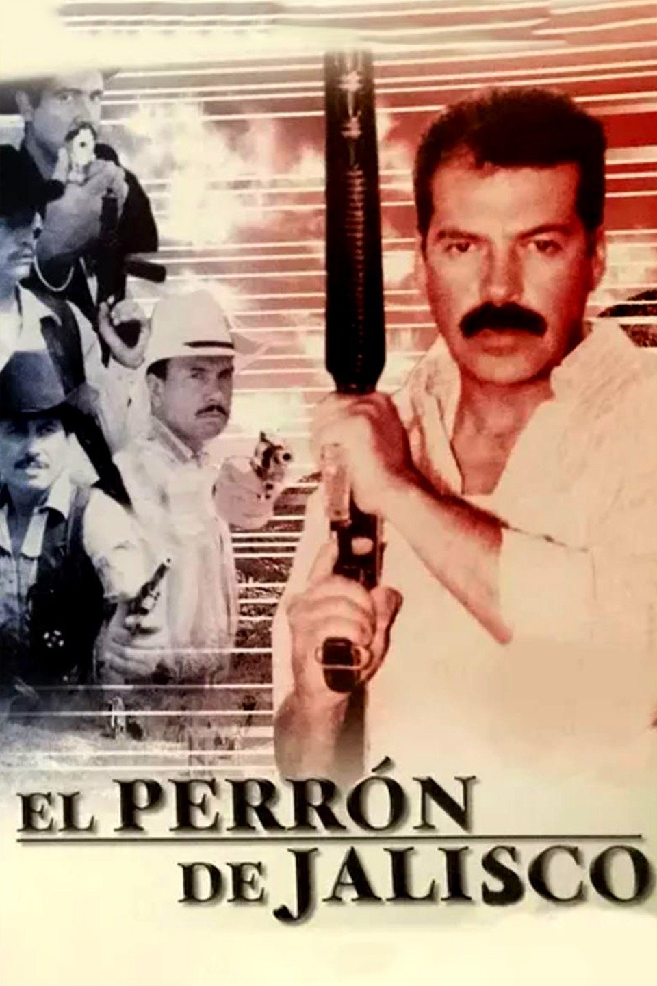 Pin On El Perron Jaja Pin On El Perron Jaja