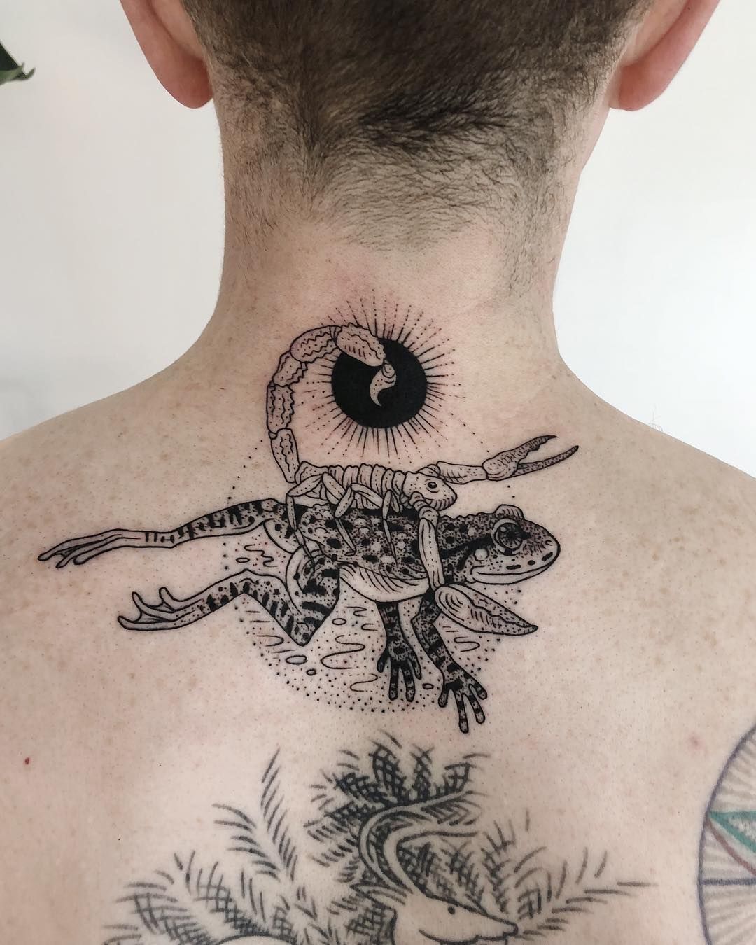 Scorpion and Frog Tattoo: Symbolism and Design Ideas