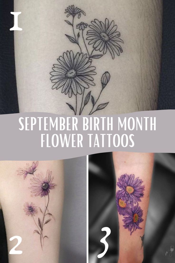 September Birth Flower Tattoo Ideas The Aster Tattoo Glee September Birth Flower Tattoo Ideas The Aster Tattoo Glee