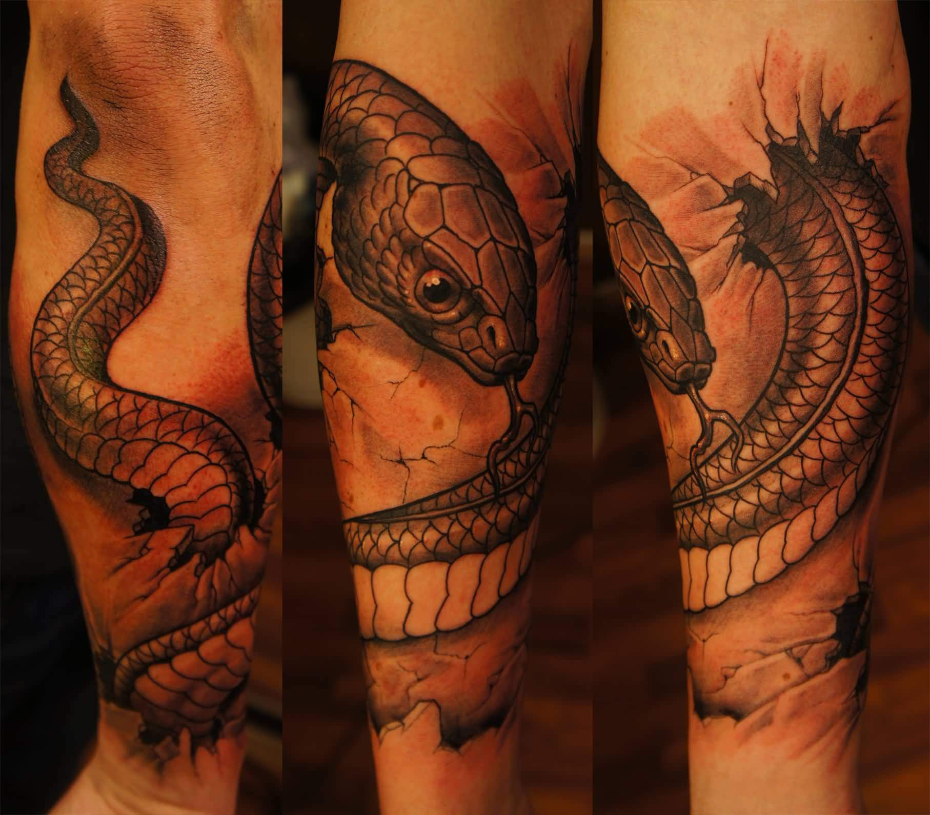 Snake Arm Tattoo Ideas: Stunning Shoulder Designs Snake Arm Tattoo Ideas: Stunning Shoulder Designs