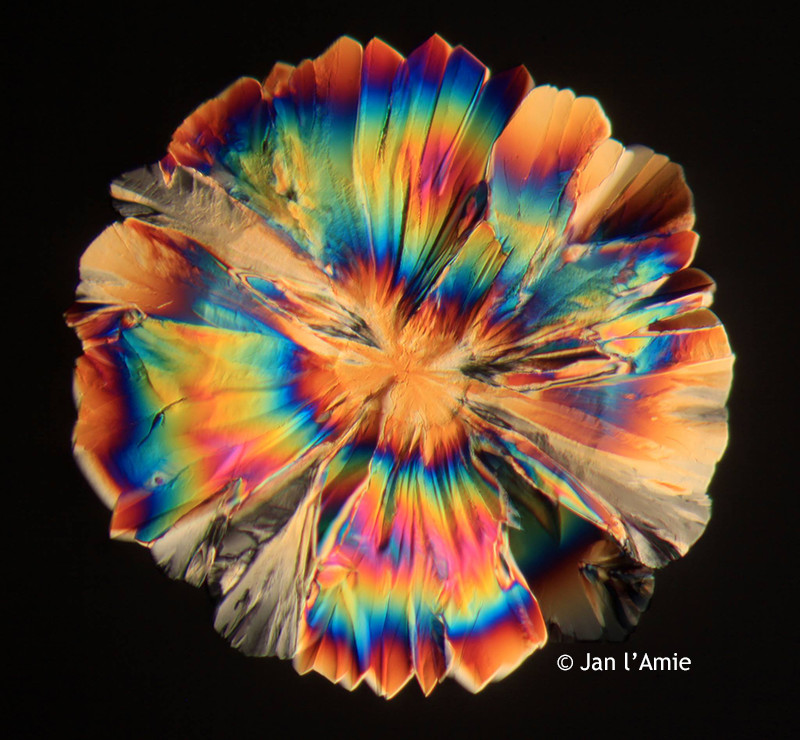 Stomach Acid Microscope: Unveiling the Hidden World