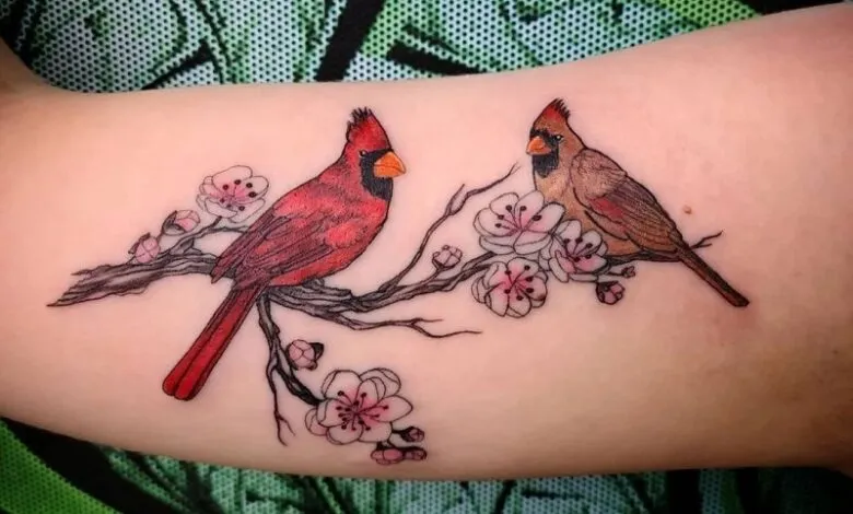 Stunning Red Cardinal Tattoo Ideas & Meanings  
Red Cardinal Tattoos: Symbolism & Designs  
Bold Red Cardinal Tattoo Inspiration & Trends  
Meaningful Red Cardinal Tattoo Ideas Revealed  
Eye-Catching Red Cardinal Tattoo Designs & Styles