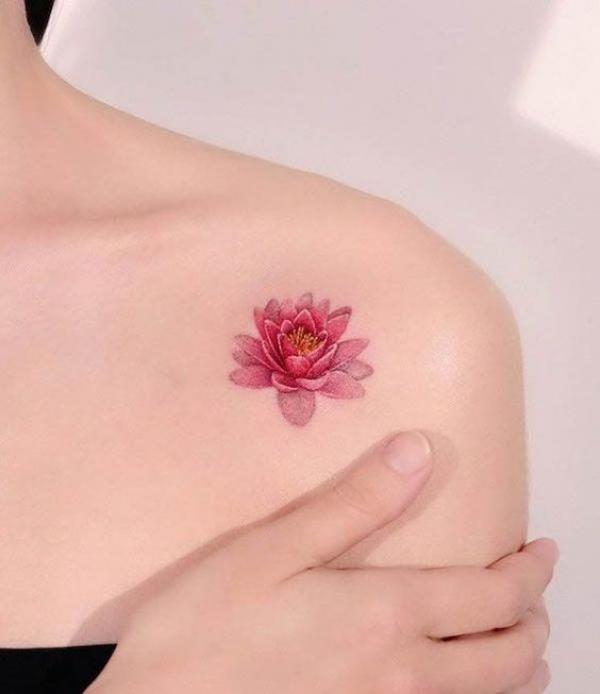 Water Lily Tattoo Ideas Designs And The Meaning Water Lily Tattoo Ideas Designs And The Meaning